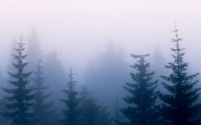 Understanding Brain Fog: Addressing It with LEAP Protocol